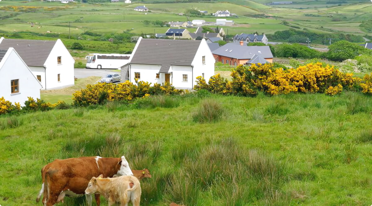 Las mejores ofertas de alquiler de coches en Limerick